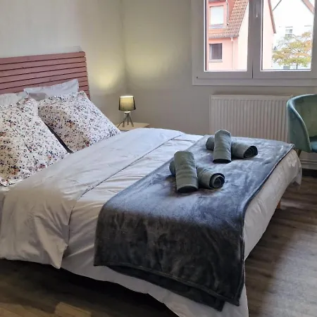 Le Cosy Des Marronniers - 6 Pers Apartment Selestat