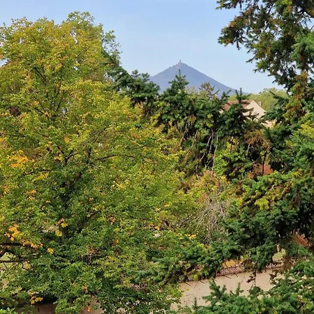 Le Cosy Des Marronniers - 6 Pers